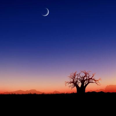 乐宝体育官网登录入口app下载